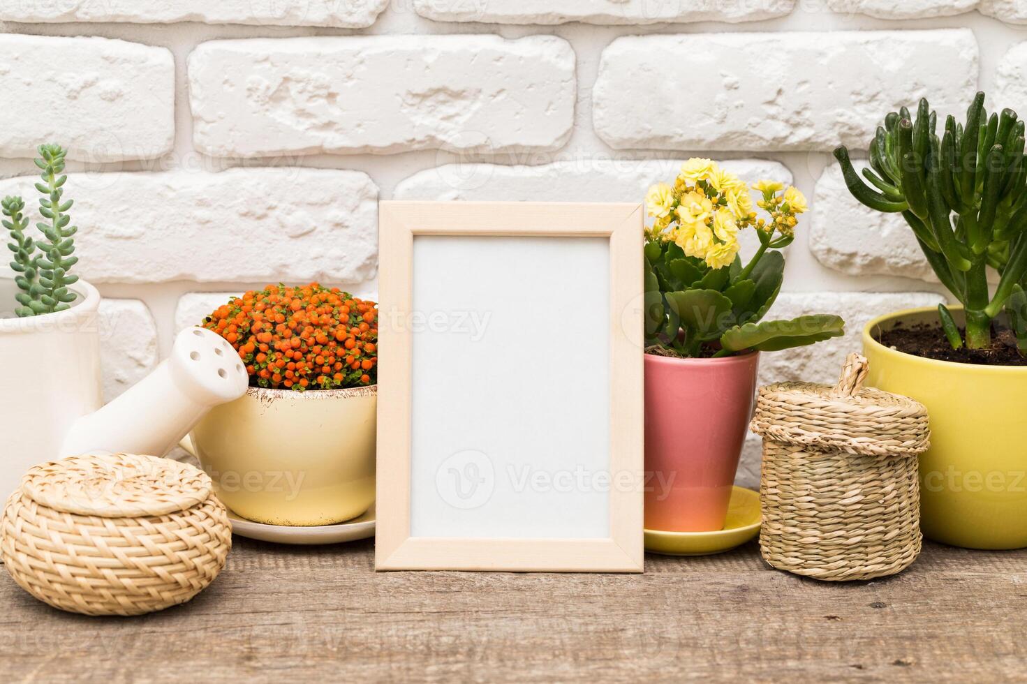 Decorative arrangement of potted plants and an empty frame on a wooden table indoors photo