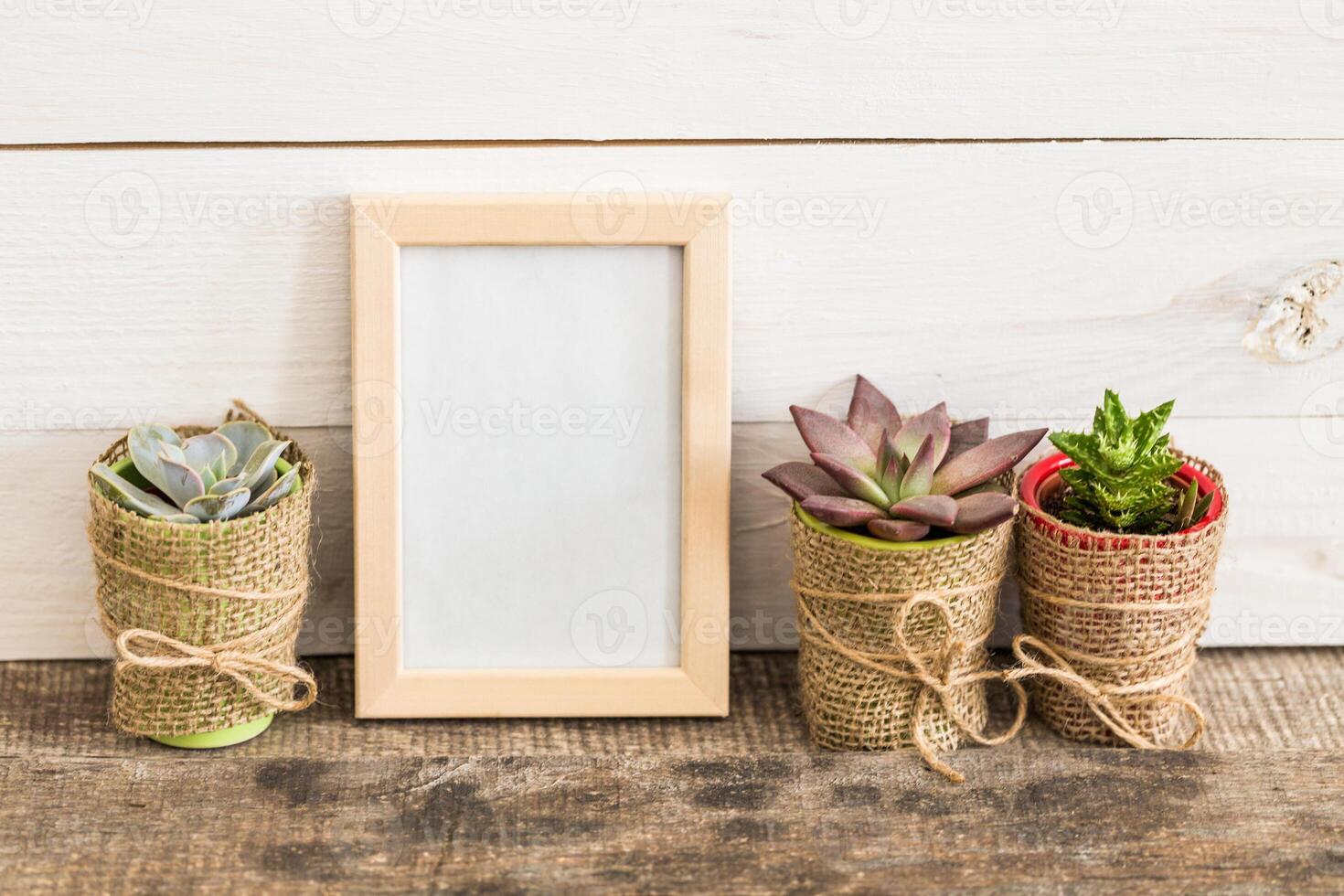 Succulent plants in decorative pots arranged next to a blank frame on a rustic wooden table photo