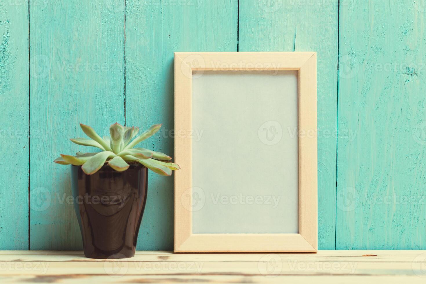 Modern succulent plant beside an empty picture frame against a turquoise wooden background in a cozy indoor setting photo
