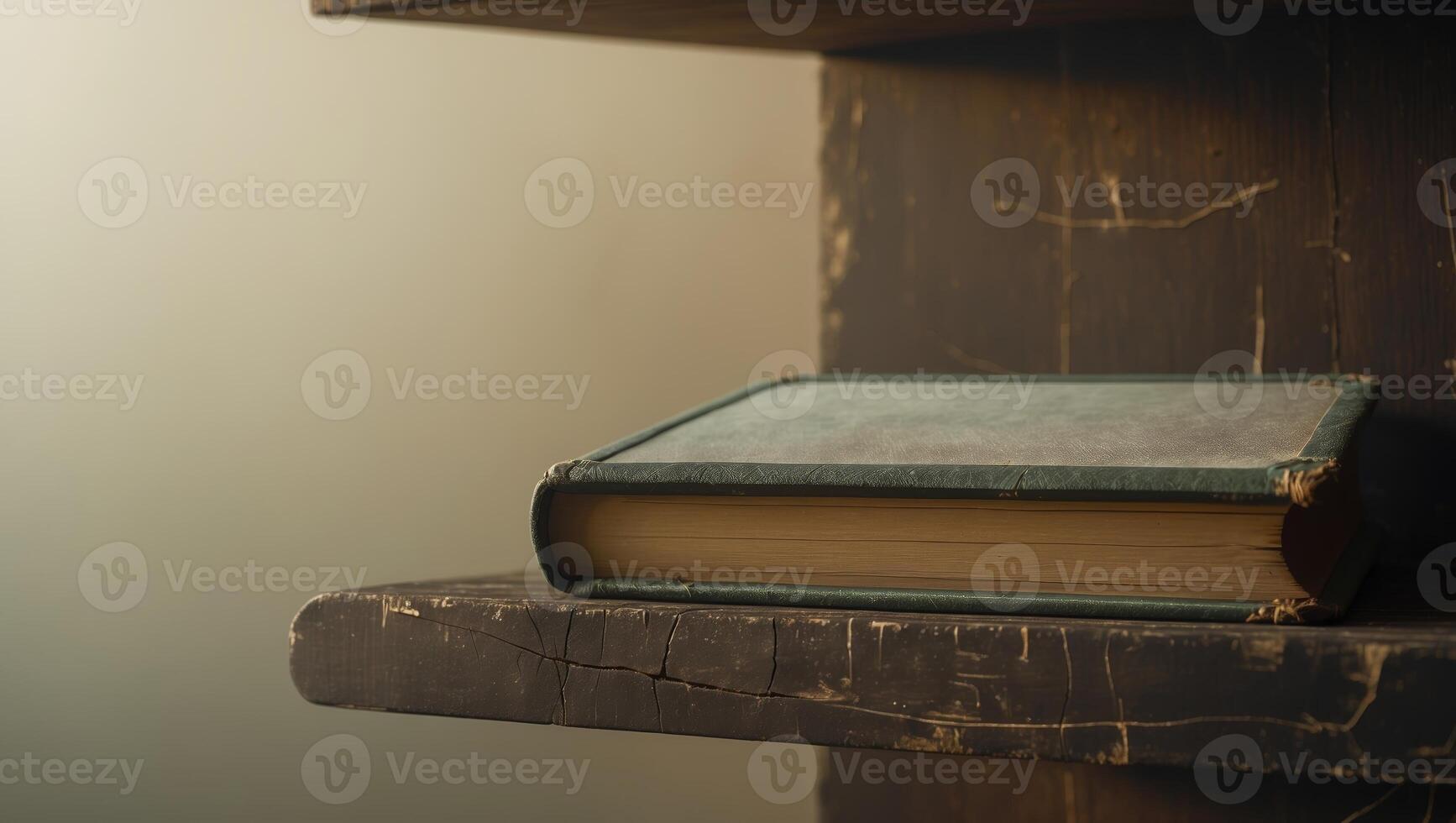 Old dusty book resting on a worn wooden shelf in soft light, evoking a sense of history and nostalgia photo
