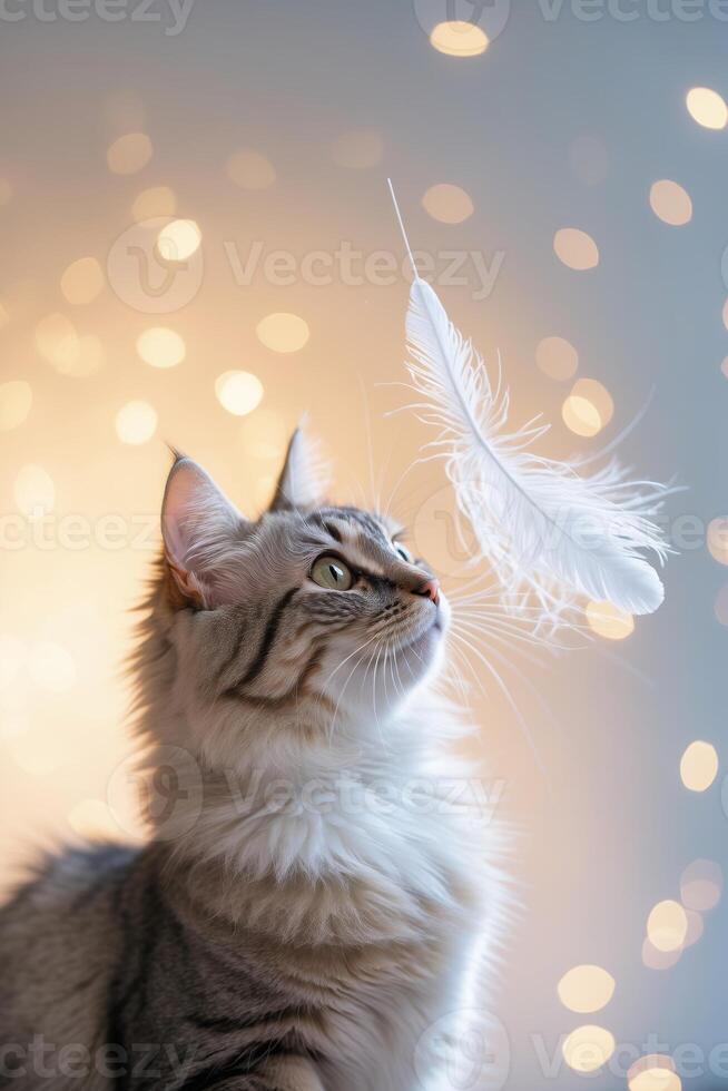 Cat curiously watches a floating feather amidst warm glowing lights in a cozy indoor setting photo