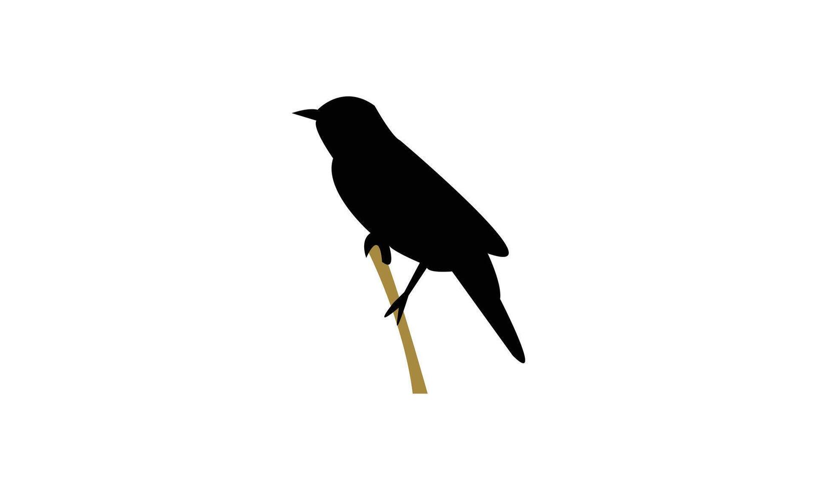 African desert warbler bird black Silhouette vector