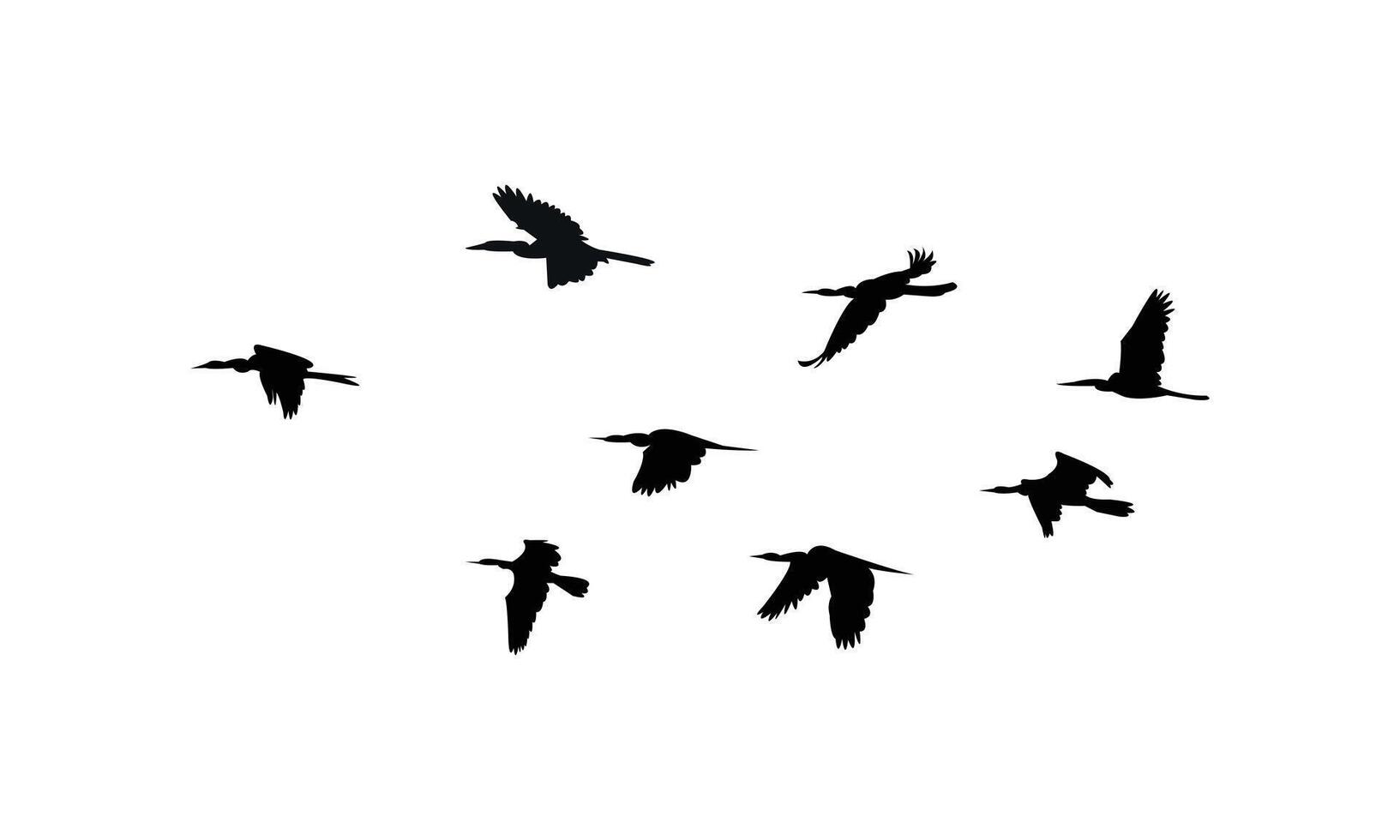 Flying African darter bird Silhouette Collection vector