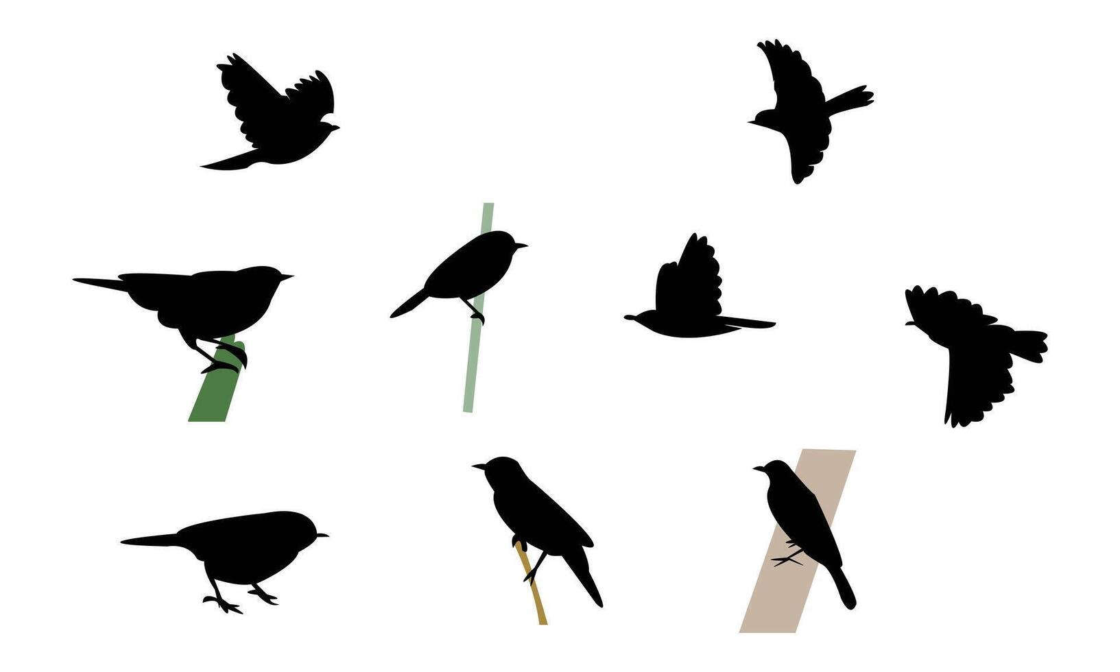 African desert warbler bird Silhouette Collection vector