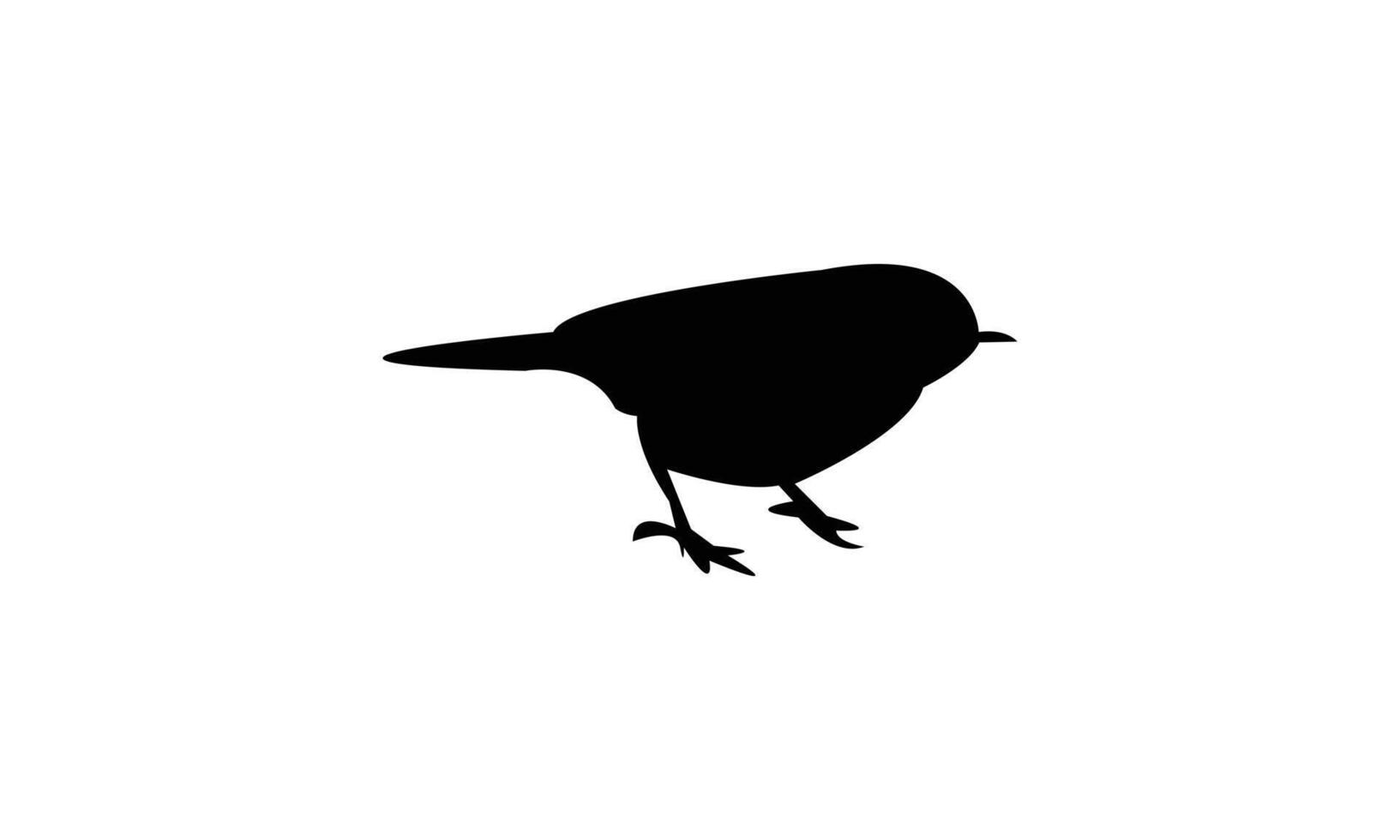 African desert warbler bird Silhouette vector