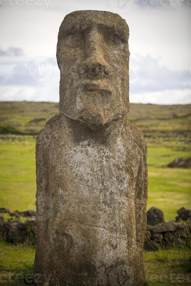 A statue of a man in a field photo