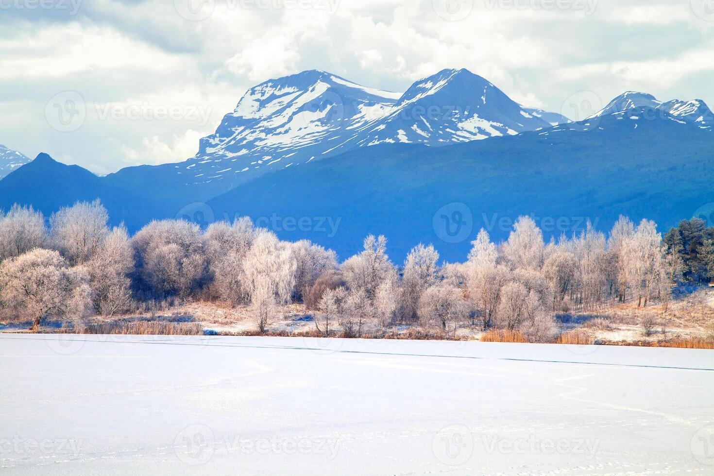 A snowy field with trees and mountains in the background photo
