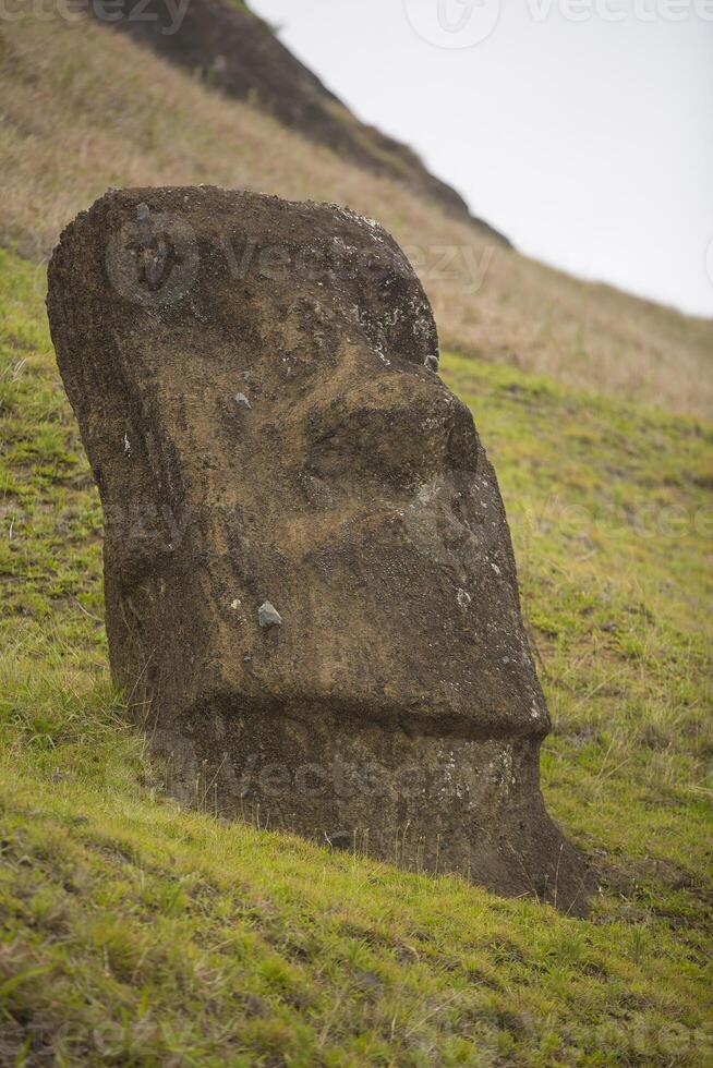 A large stone face photo