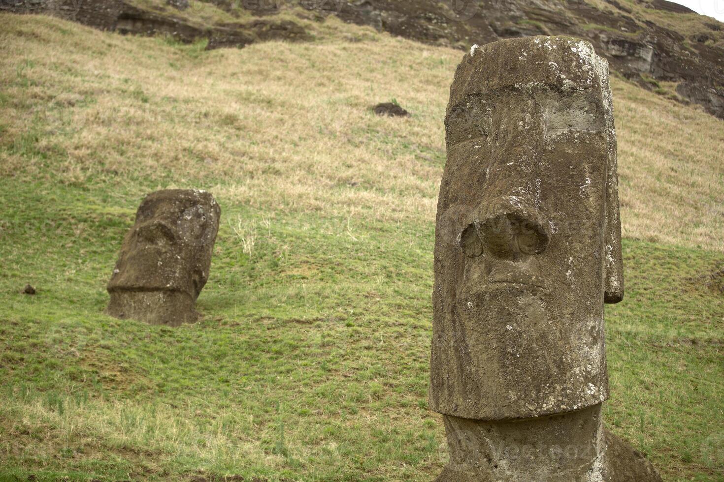 A group of moai statues in a grassy field photo