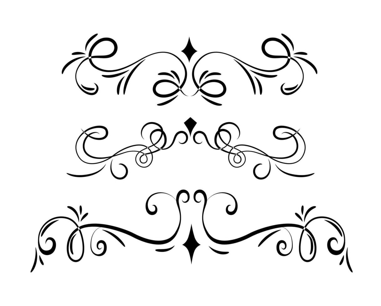 Collection of calligraphic art ornaments on black and white colour vector