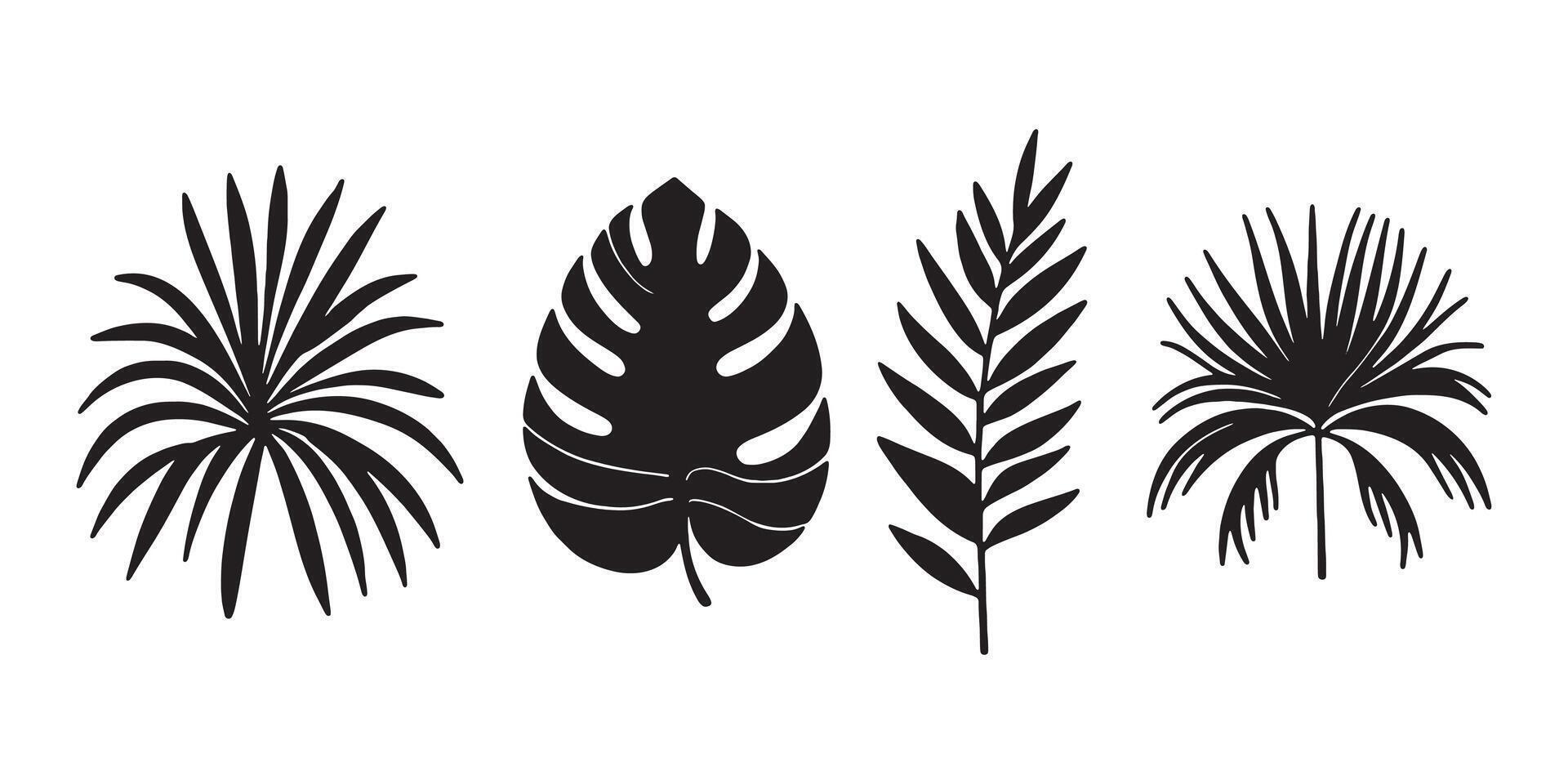 Echoes of the Tropics Black White Botanical Art vector
