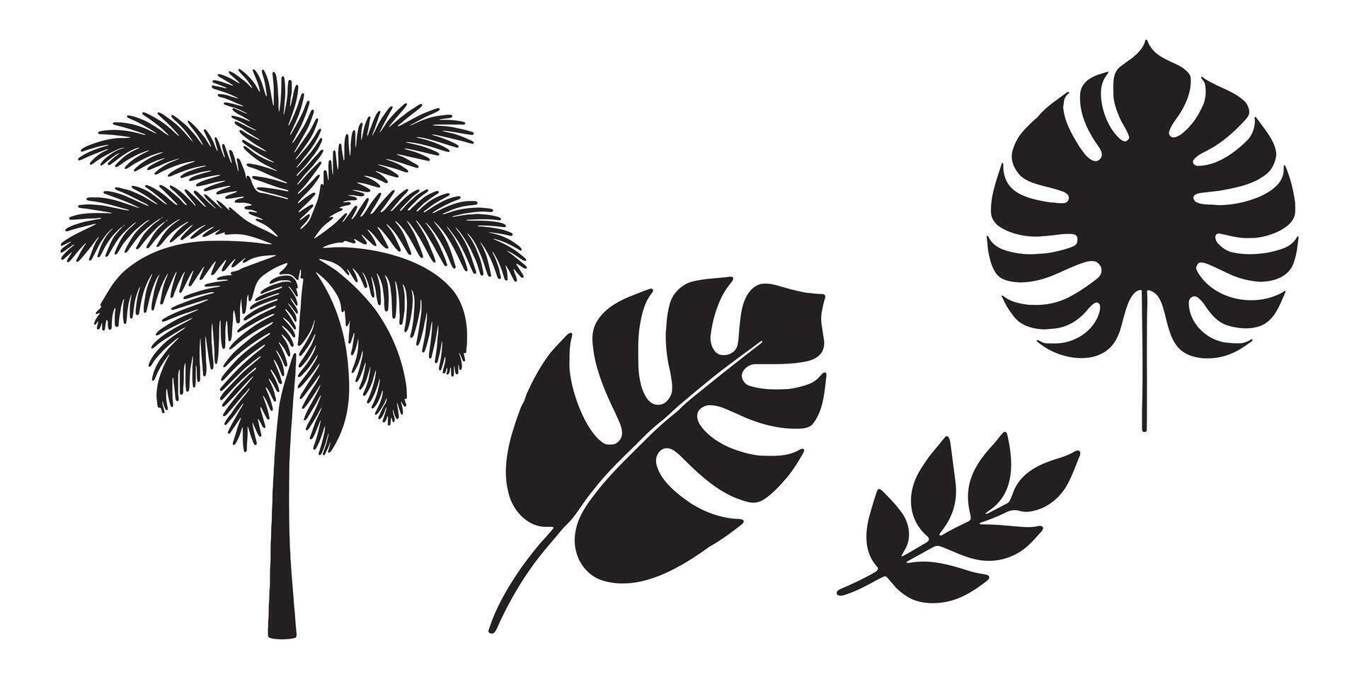 Monochrome Tropics Elegant Leaf Palm Silhouettes vector