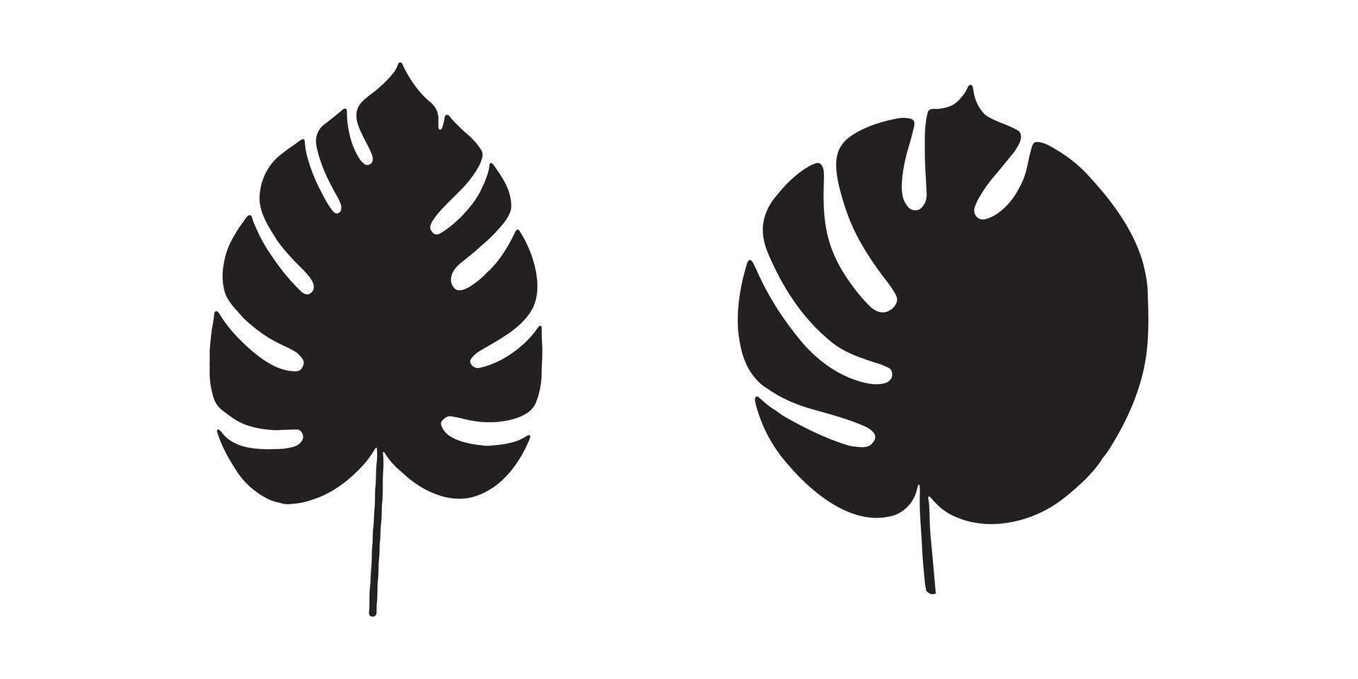 Lush Simplicity Black White Tropical Elegance vector