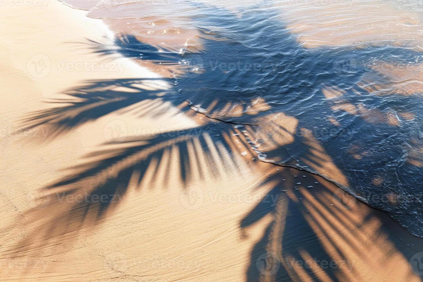 Palm tree shadow on the beach photo