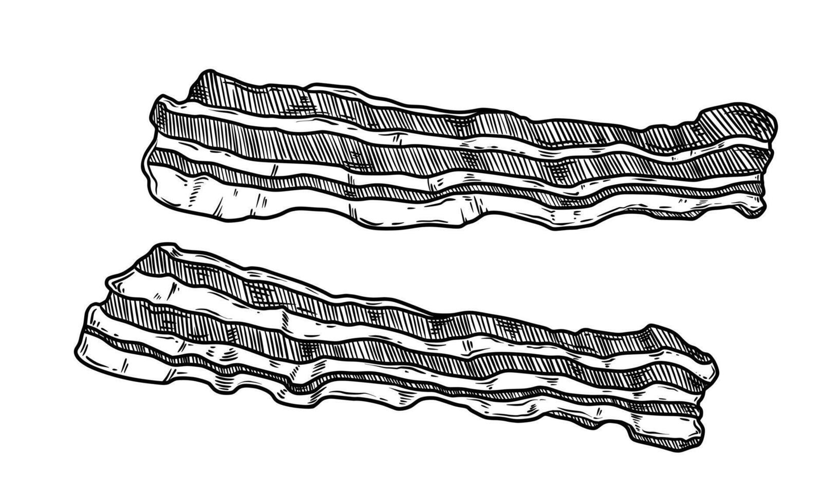 Bacon two crispy slices food illustration in the graphic line art style. Hand drawn outline element of breakfast meat meal. Perfect for menu creating and modern sketch designs. vector