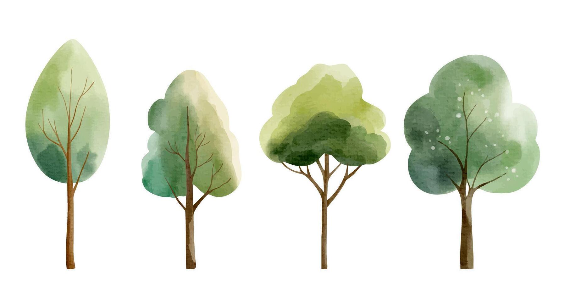Set of watercolor trees. Hand drawn woodland collection. Oak, maple. Forest trees vector