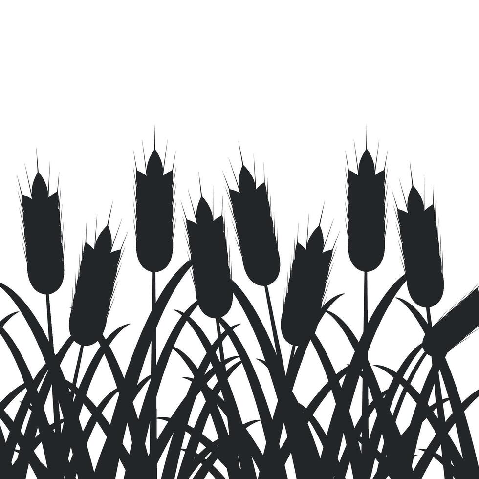 Black silhouette of wheat with grass on white background. Harvest. Agriculture, farming. vector