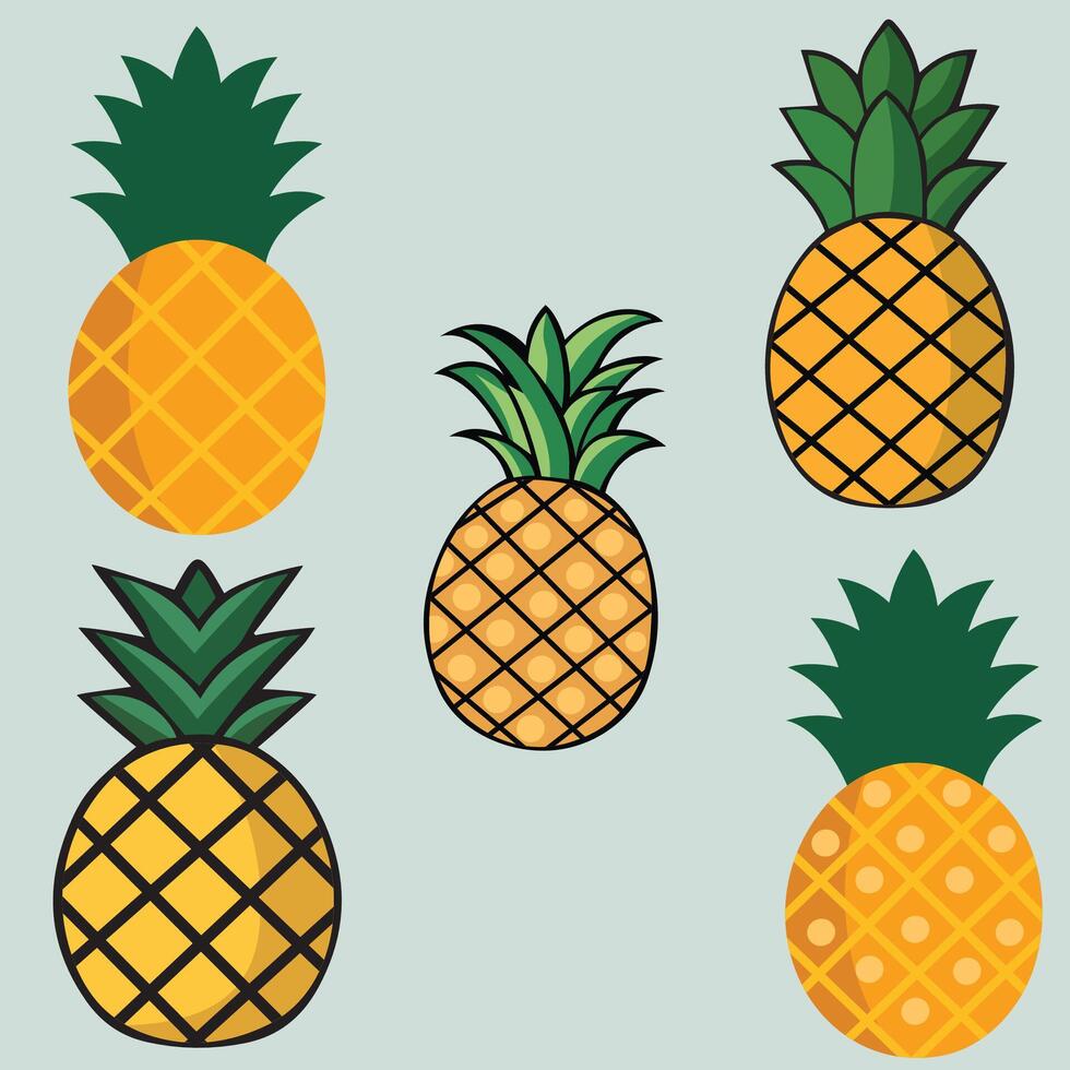 Pineapple fruits illustration Set vector