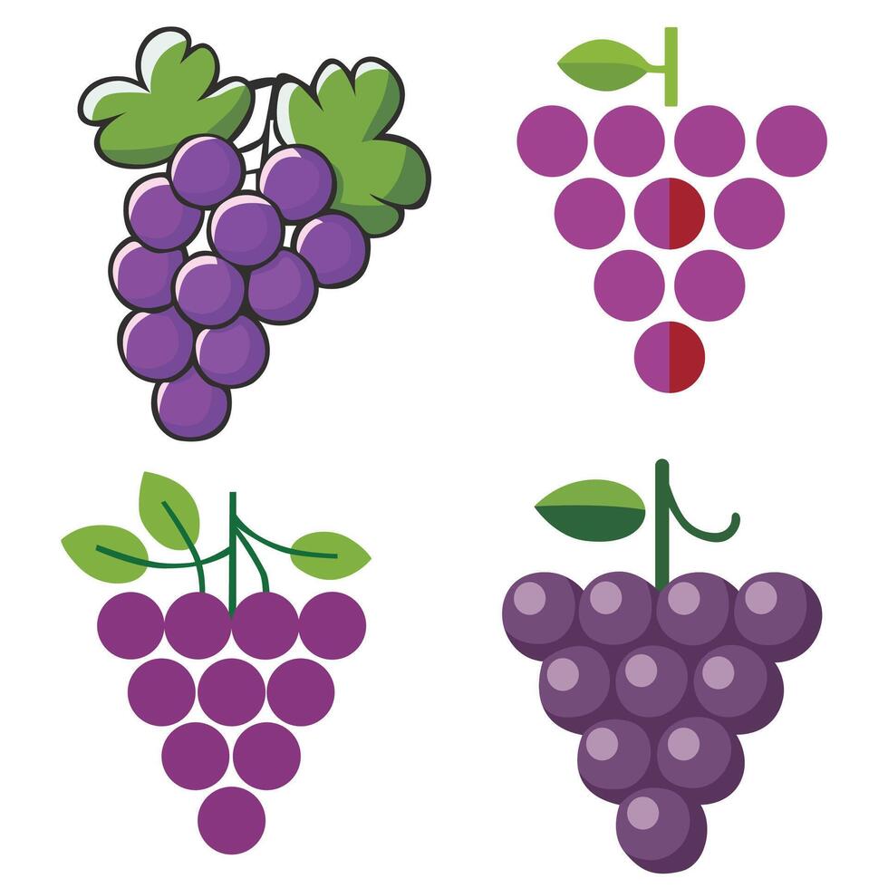 Grapes fruits , vector