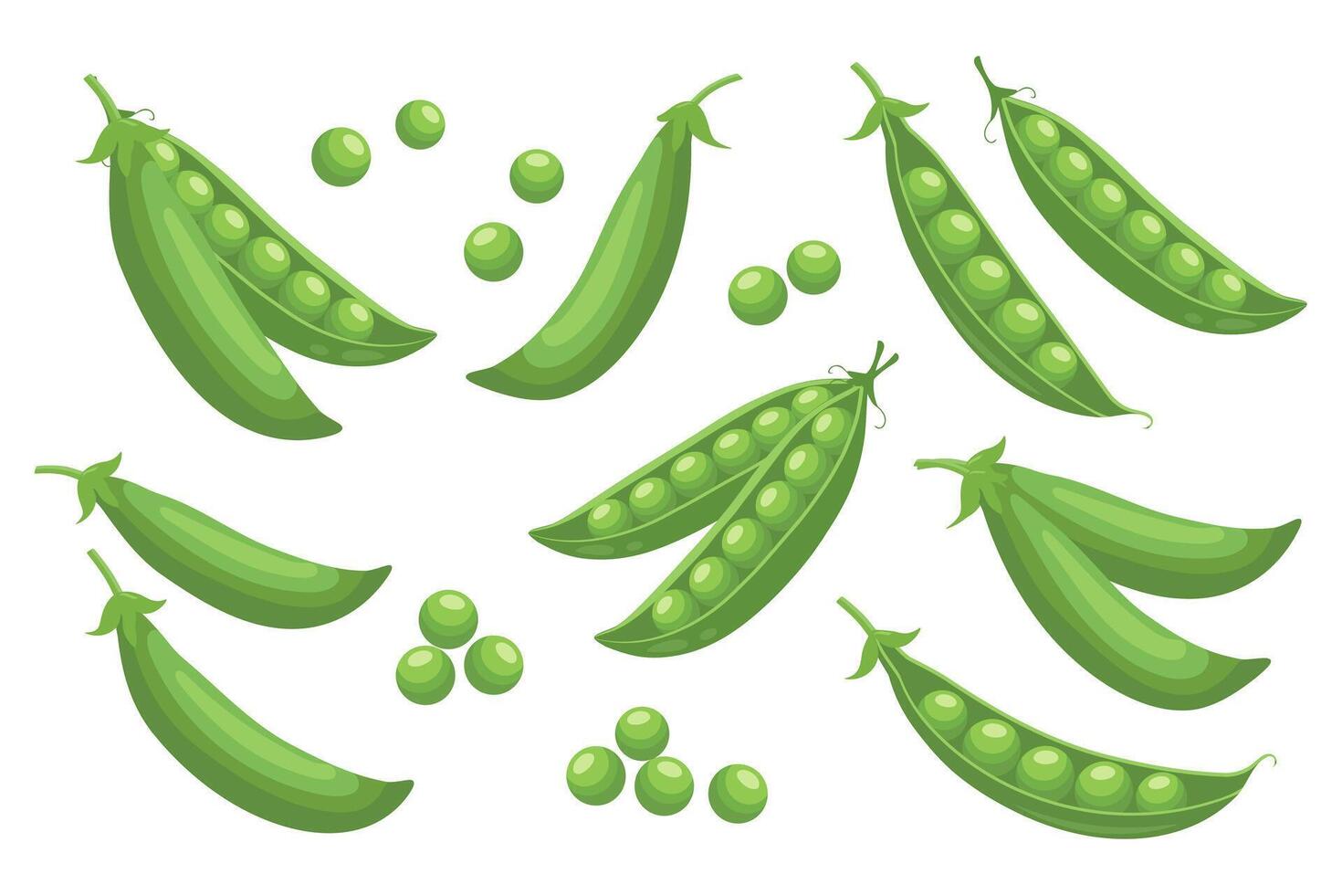 Set of green peas. Collection of green peas in pods on white background. Legumes, food illustration vector