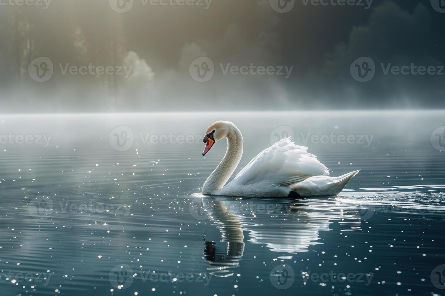 A swan is swimming in a lake with a cloudy sky in the background photo