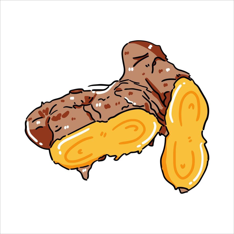 Turmeric herbs and spices Illustration with isolated white background vector