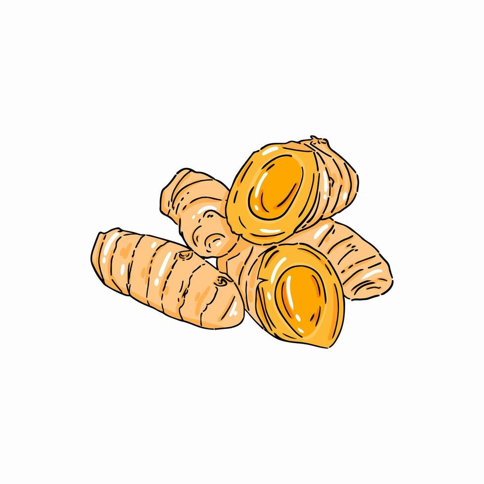 Pieces of yellow turmeric herbs and spices Illustration with isolated white background vector