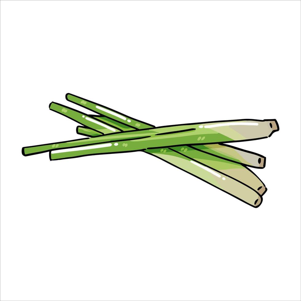 Lemongrass herbs and spices Illustration with isolated white background vector