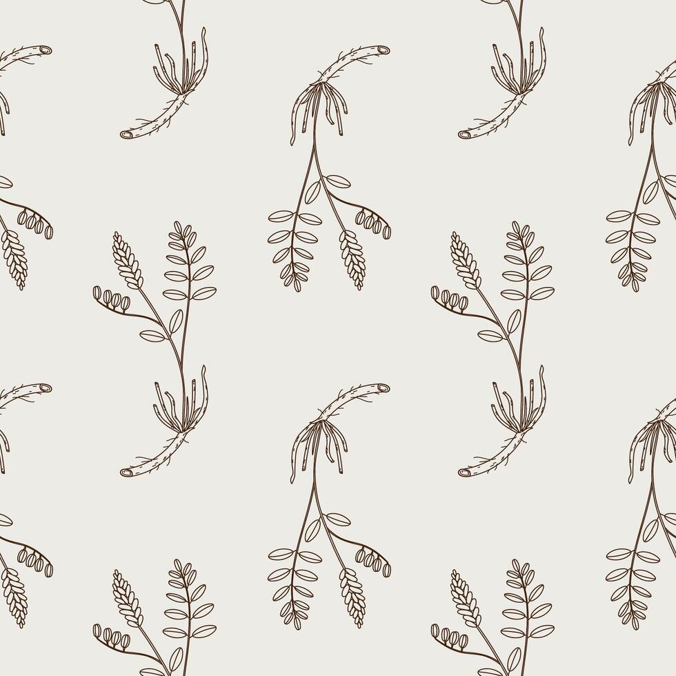 Seamless pattern of Licorice herbaceous plant and dry roots. Hand drawn repeating background with botanical of medical aromatic sticks and a flowers branch Glycyrrhiza echinata. Design rapport vector