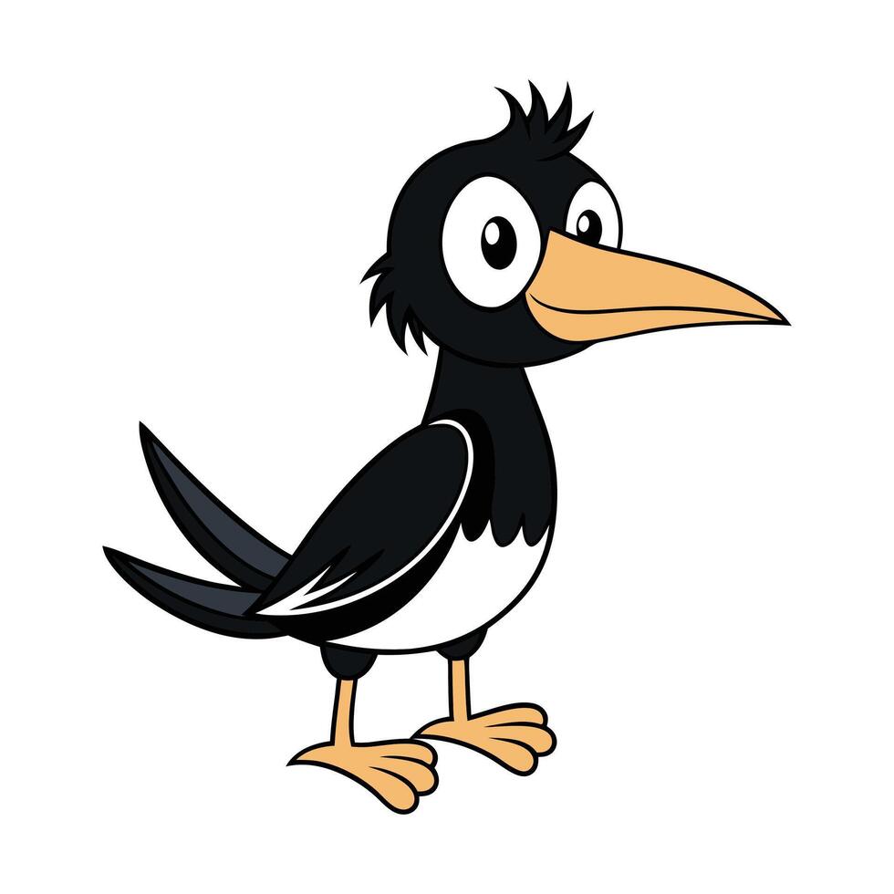 bird-black-white-and yellow birds vector