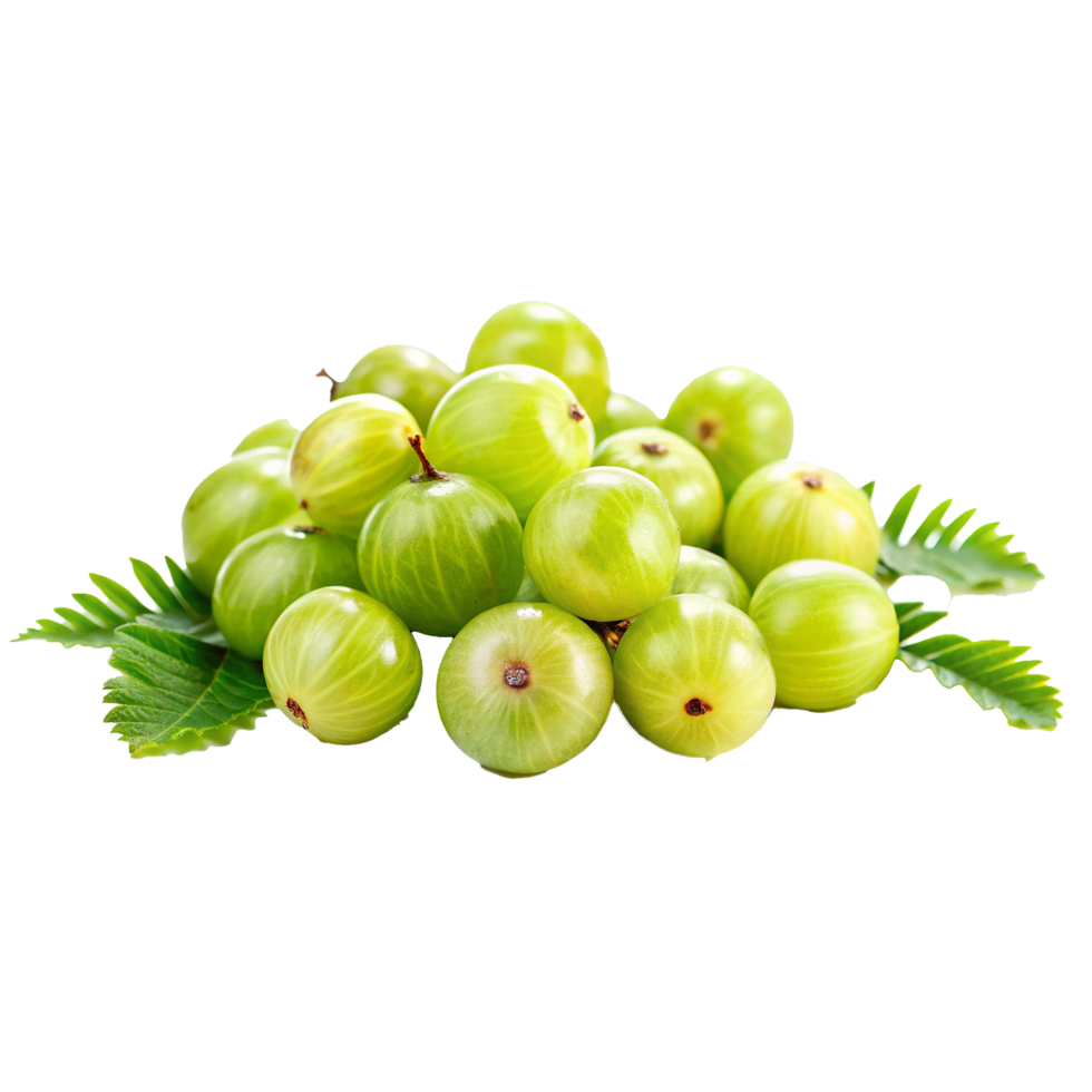 A Closeup of a Pile of Fresh Green Indian Gooseberries on Lush Green Leaves png
