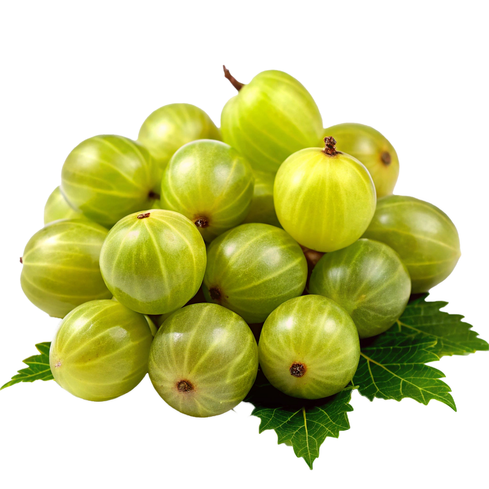 A Closeup of a Bunch of Fresh Green Gooseberries on a Leaf png