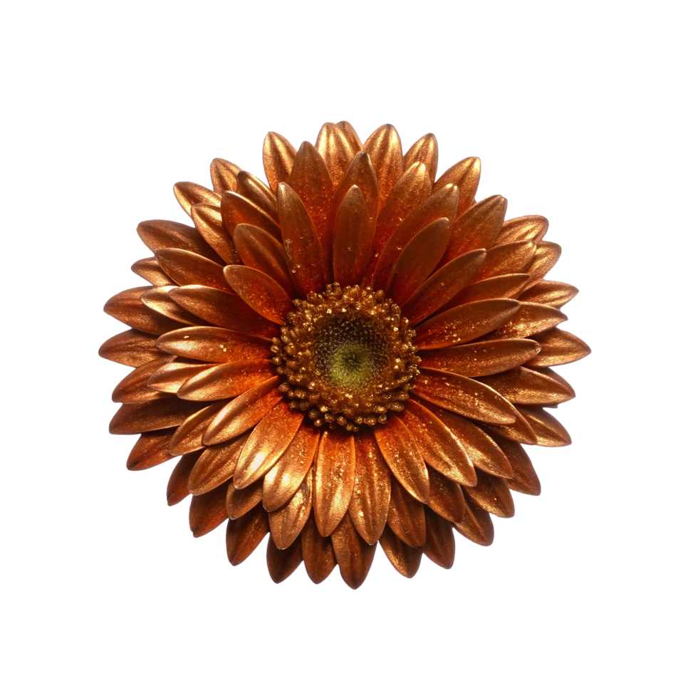 A Stunning Metallic Copper Gerbera Daisy Flower with Glittering Petals png
