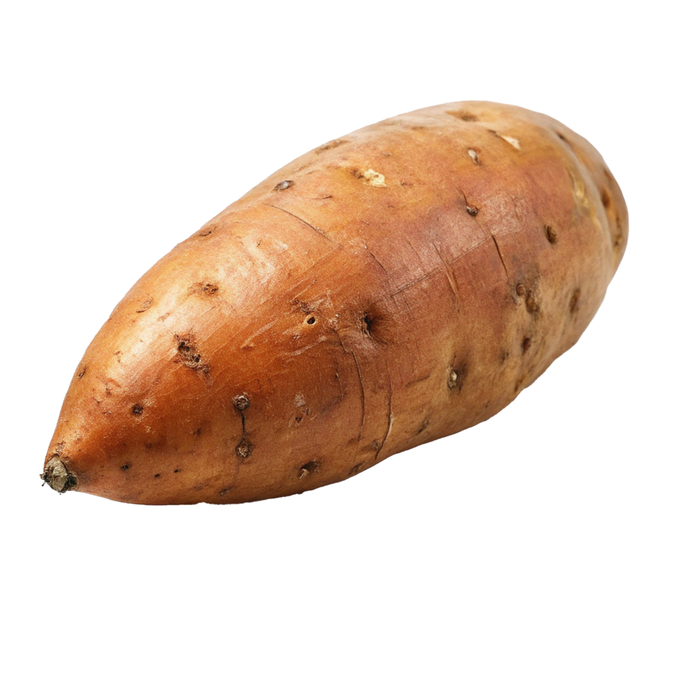 A Single Raw Sweet Potato Ready for Cooking or Baking png