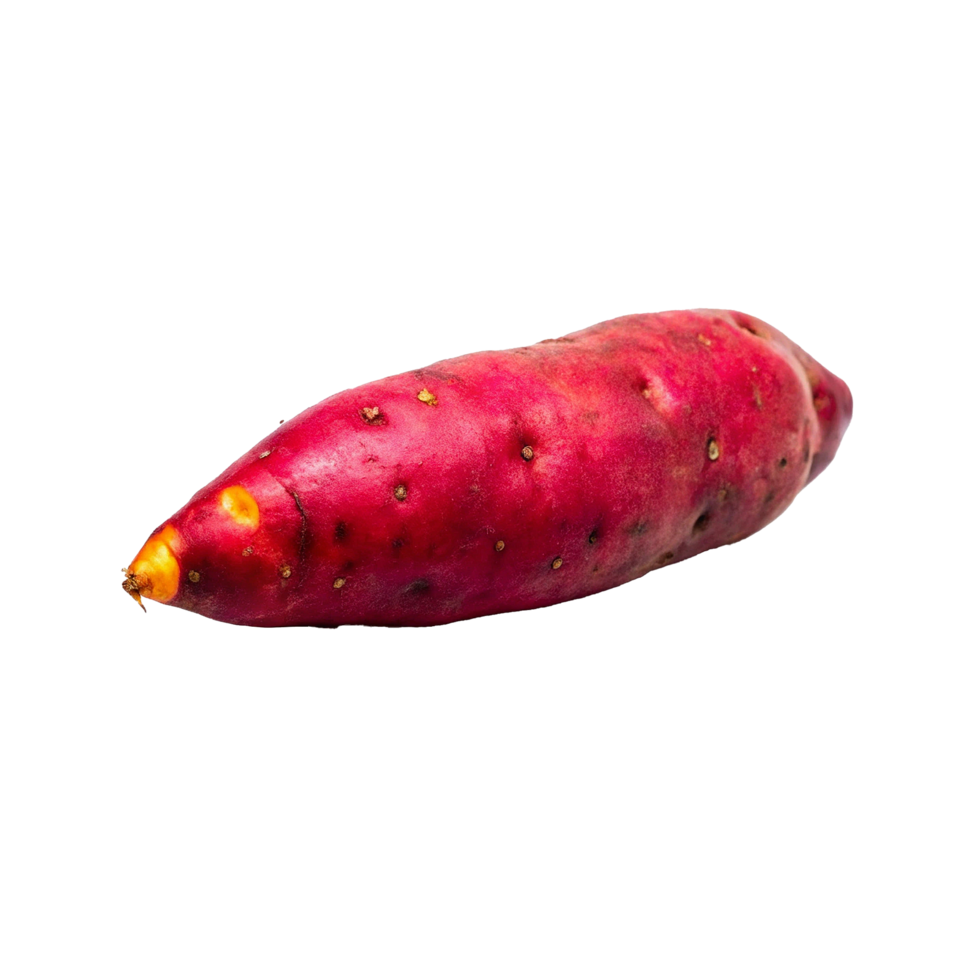 A single vibrant red sweet potato isolated on white background png