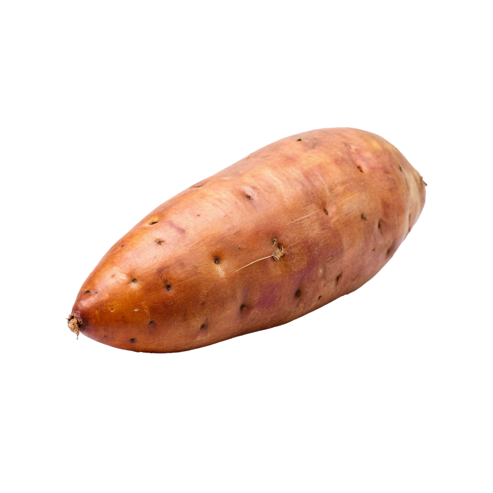 A Single Raw Brown Sweet Potato Isolated on White Background png