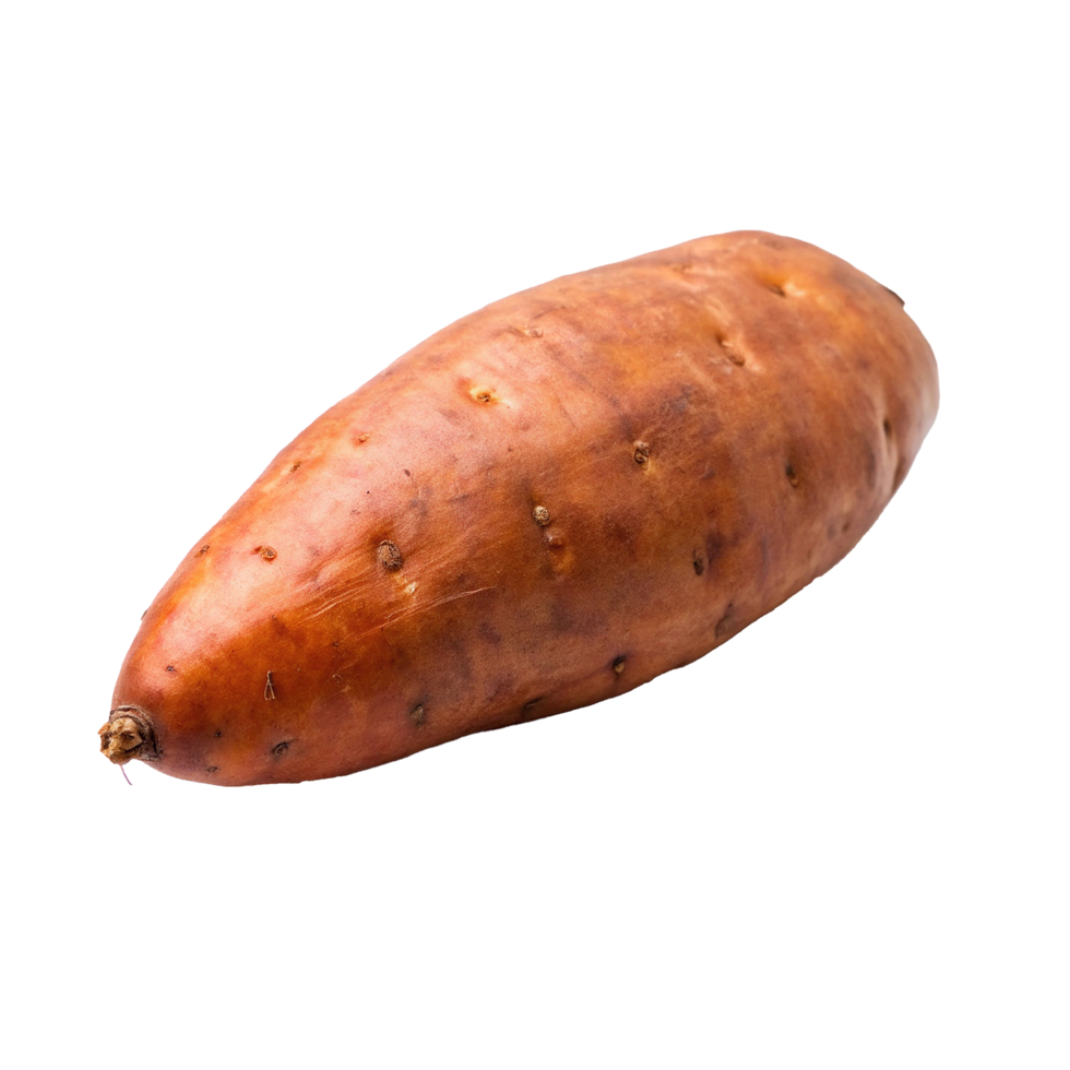 A Single Raw Organic Sweet Potato Ready to Cook png