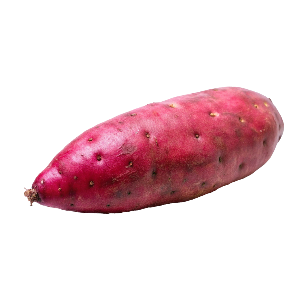 A Single Raw Organic Red Sweet Potato Isolated on White Background png