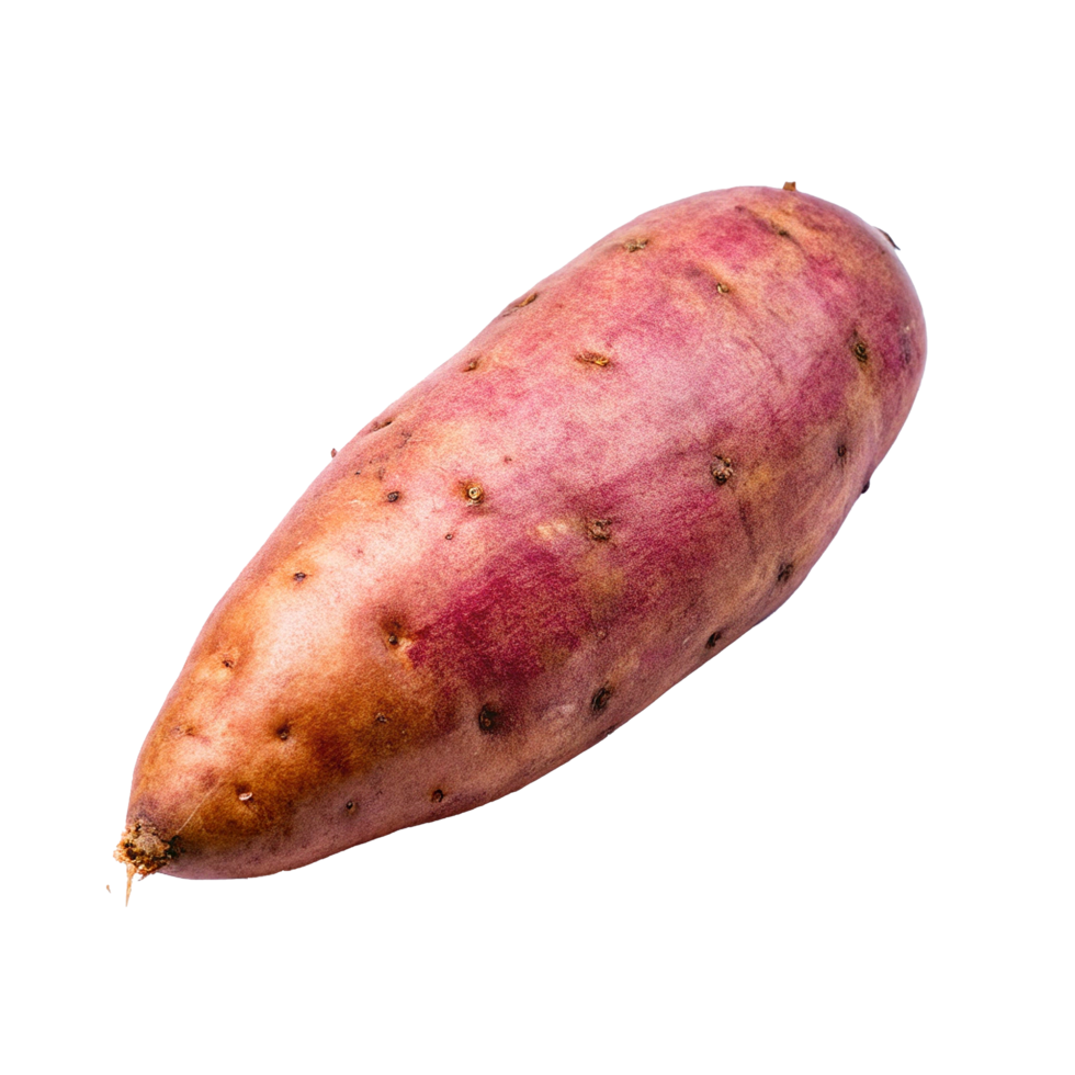 A Single Raw Organic Purple Sweet Potato Isolated on White Background png