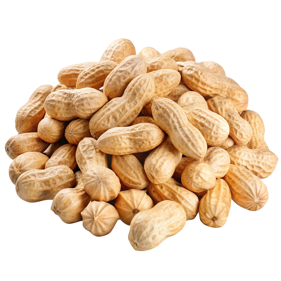 A large pile of peanuts in their shells, ready to be roasted or eaten png