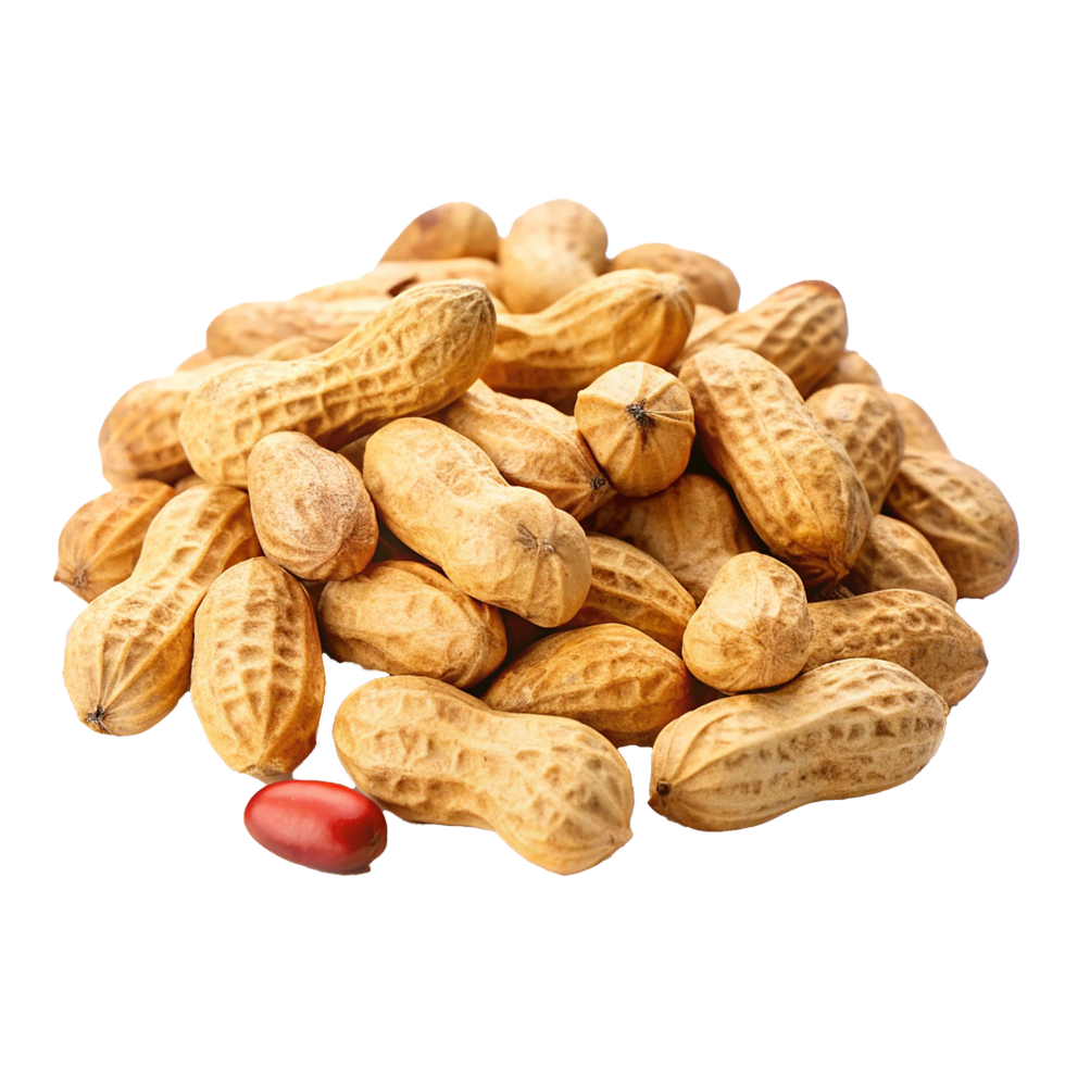 CloseUp View of a Pile of Roasted Peanuts png