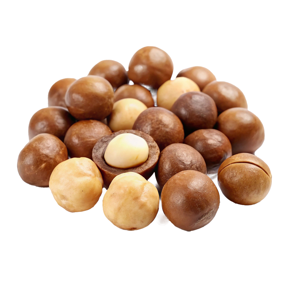 A CloseUp View of a Pile of Macadamia Nuts Some Shelled and Some in Shell png