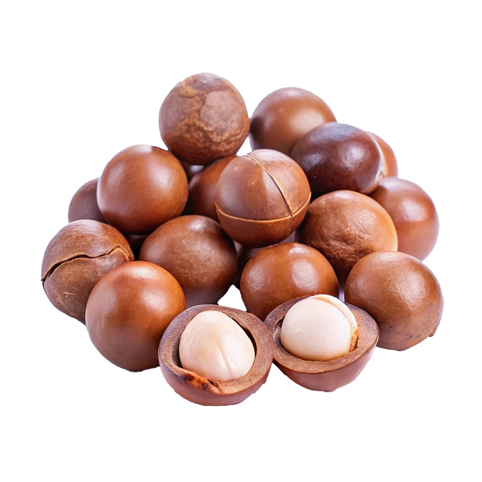 A CloseUp View of a Pile of Whole and Halved Macadamia Nuts png