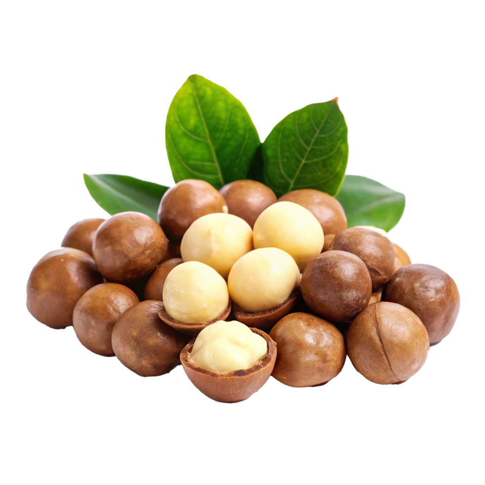 A Closeup of Fresh Macadamia Nuts with Leaves png