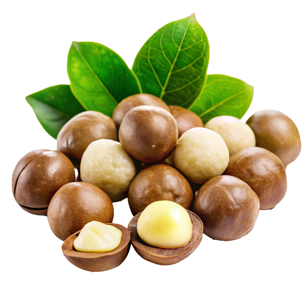 Closeup of Fresh Macadamia Nuts with Green Leaves png