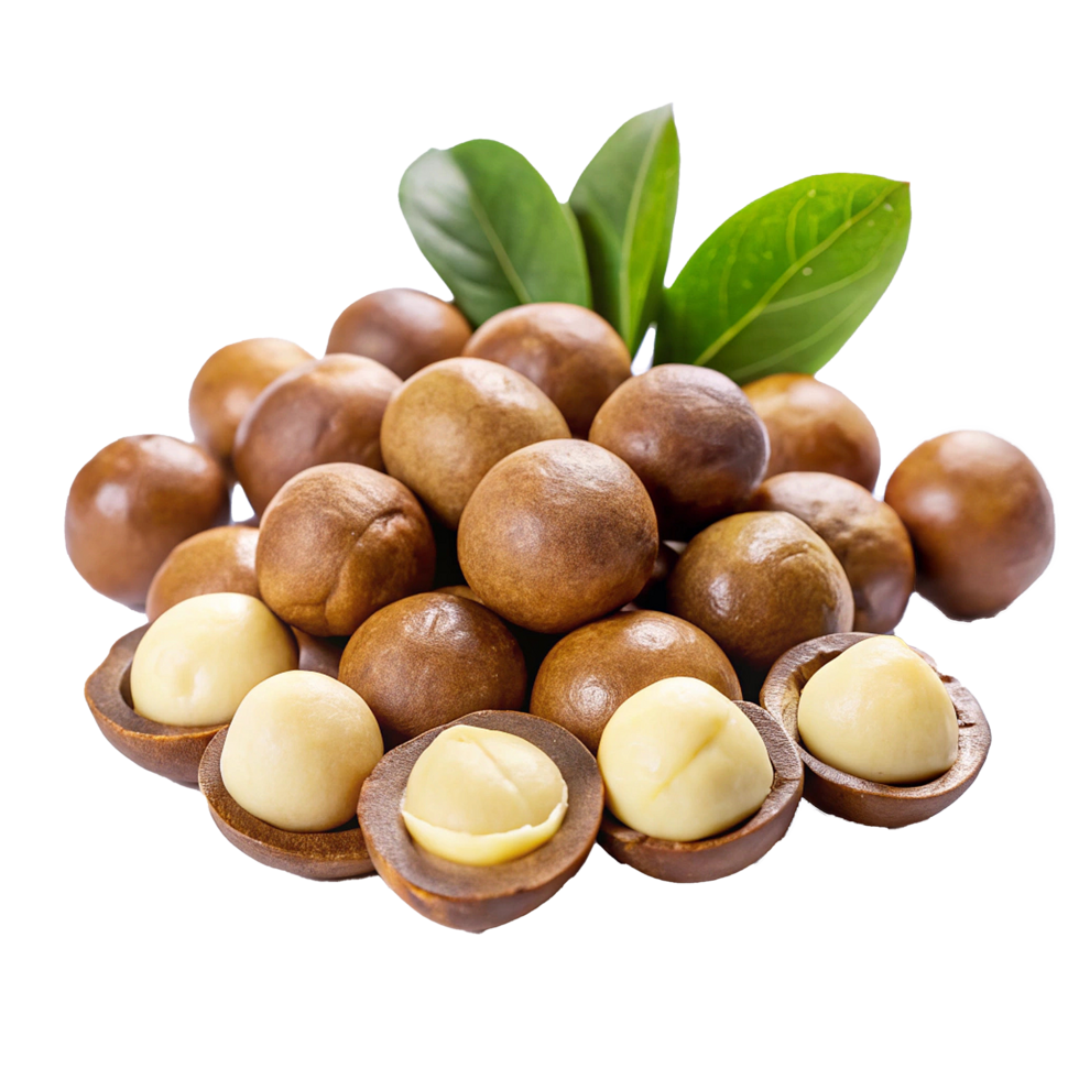 A Closeup View of Fresh Macadamia Nuts with Green leaf png