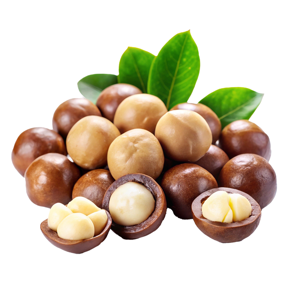 A Collection of Fresh Macadamia Nuts with Green Leaves png