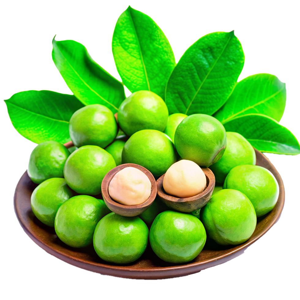 Fresh Macadamia Nuts in Shell and Bowl with Green Leaves png