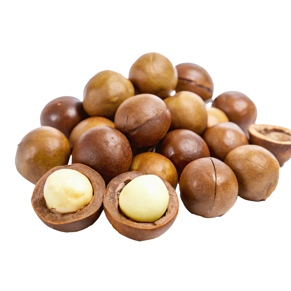 A CloseUp View of a Pile of Macadamia Nuts Some of Which are Open Showing the Creamy White Kernels Inside png