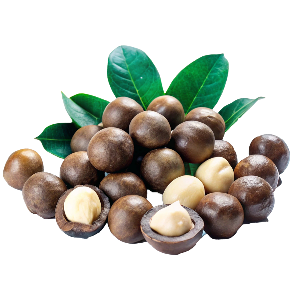 A Closeup View of Macadamia Nuts with Fresh Green Leaves png